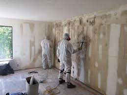 Best Real Estate Mold Inspection  in Elm Creek, NE